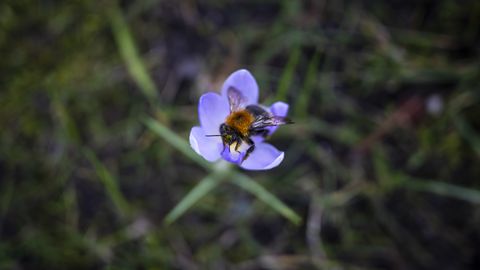 Ночью ожидается легкий мороз