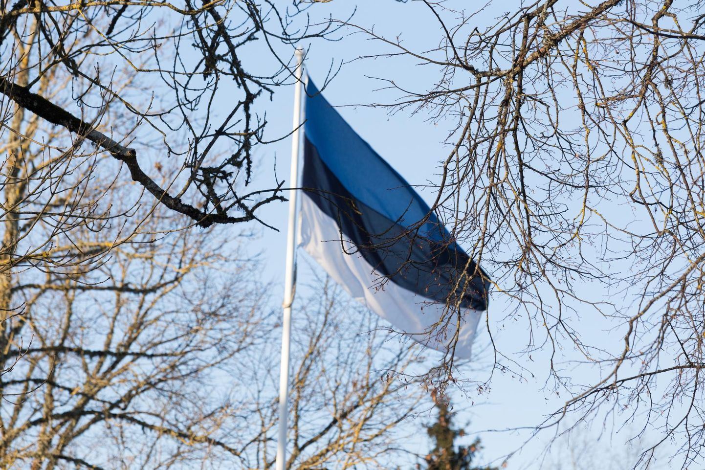 Nädalavahetusel saab osa Tartu rahu aastapäeva tähistamise üritustest mitmel pool Viljandimaal.