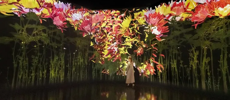 Teamlab Kumus.