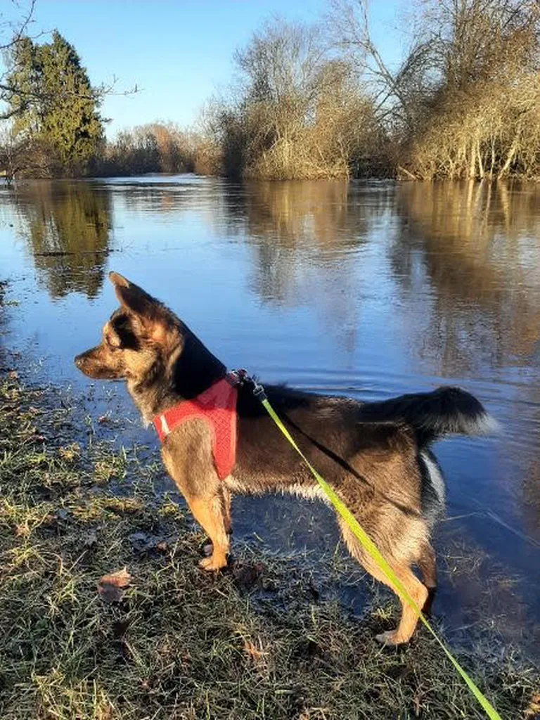Sam