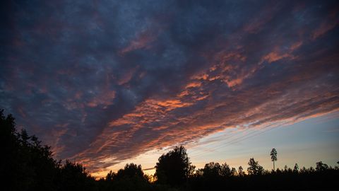 Фото и видео ⟩ В небе над Эстонией можно было наблюдать неземную красоту