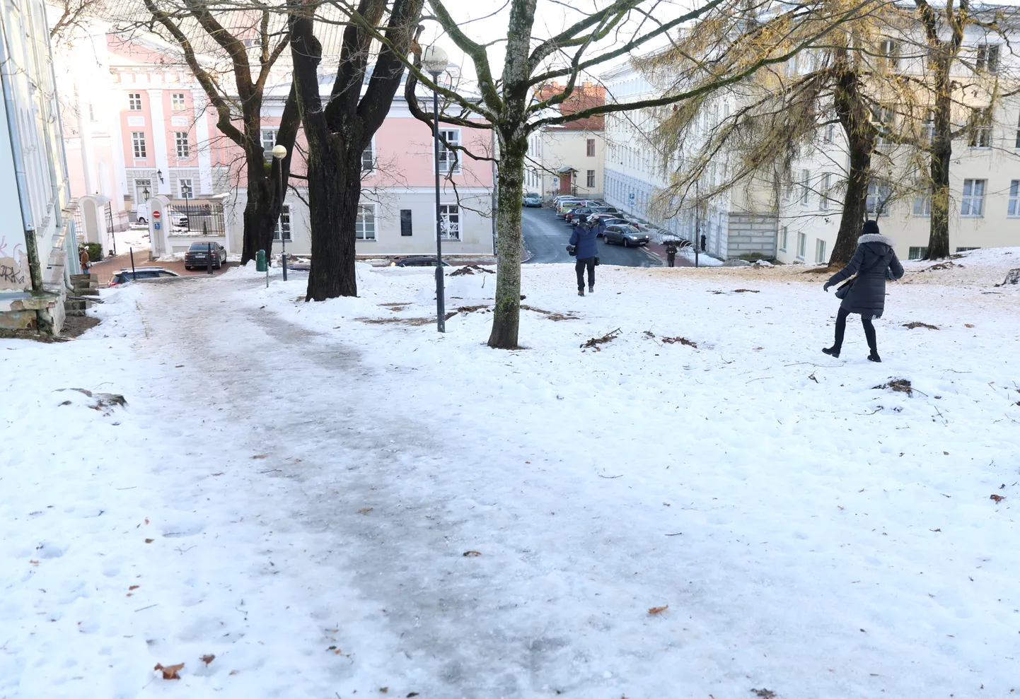Kes juba Tartu linna kehva teehooldusega harjunud, see teab liikumiseks kõnnitee asemel lumist haljasala kasutada.