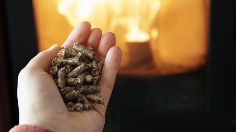 Некоторые торговцы ввели ограничения на продажу топлива