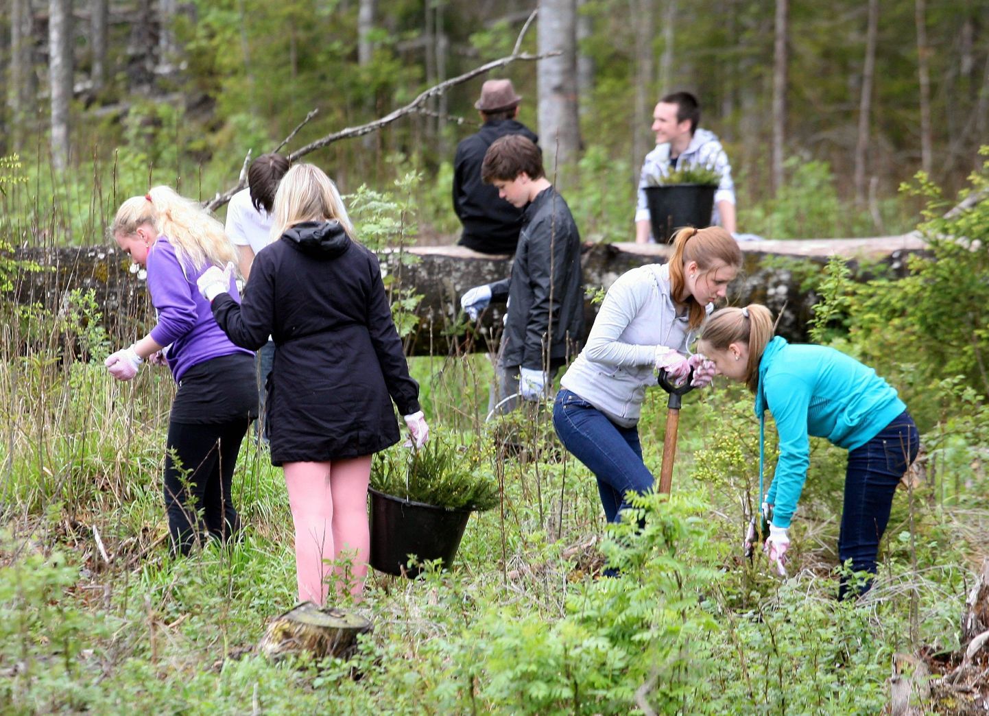 Eestis on lood hästi keskkonna ja hariduse vallas