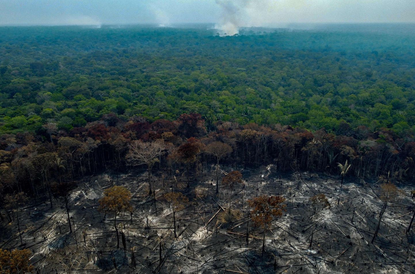 Põlengud Amazonase vihmametsas. Foto on illustratiivne.