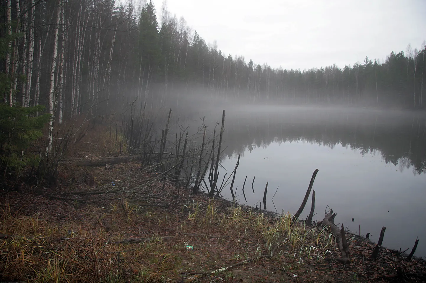 Kuradijärv on nime saanud tumeda vee ja sünge oleku järgi.