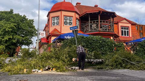 Tuul murdis Viljandimaal puid ja jättis sajad majapidamised elektrita