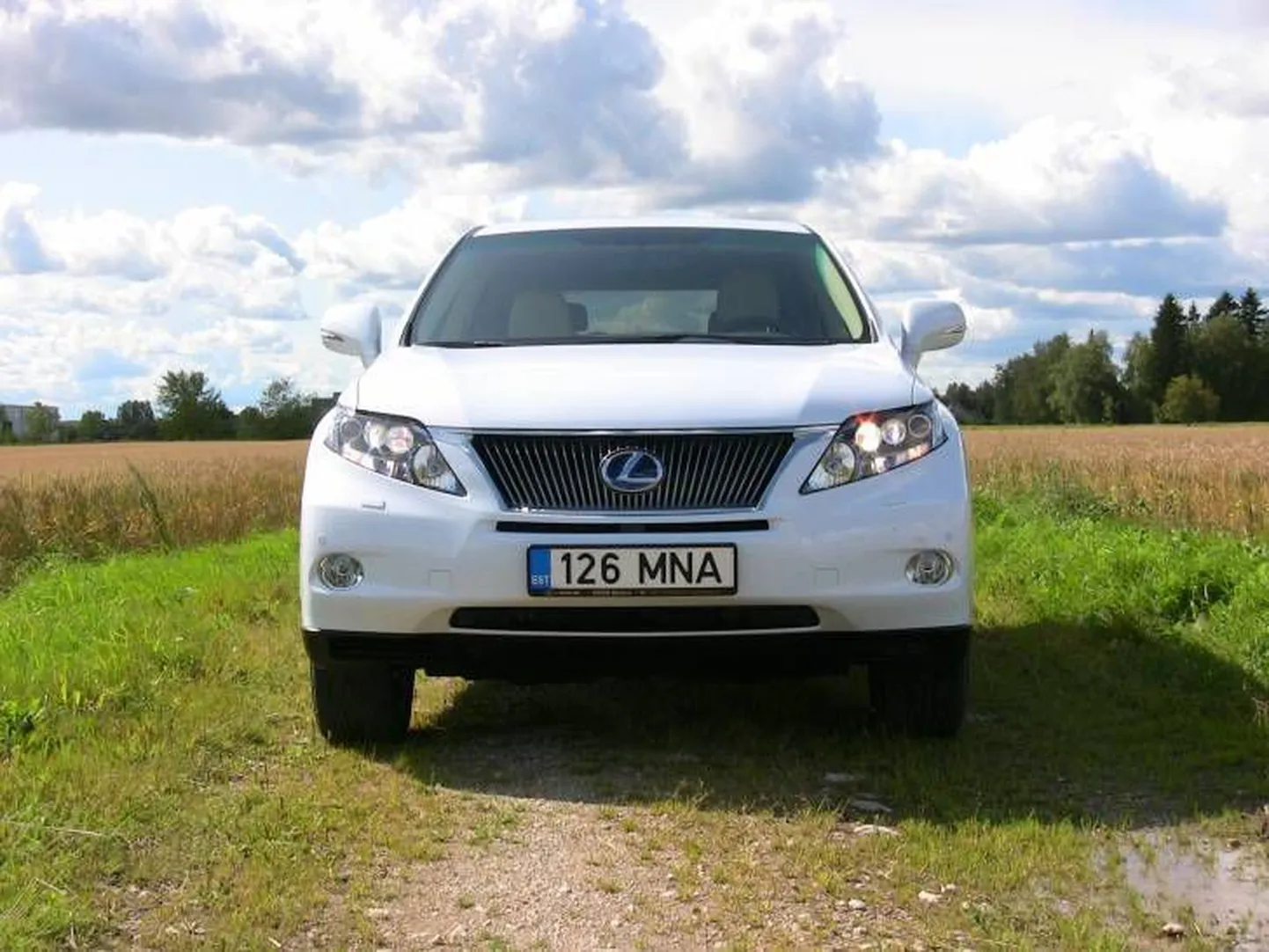 Lexus RX 450h. Иллюстративное фото.