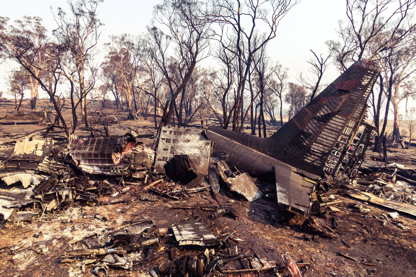 Последствия пожаров в Австралии.