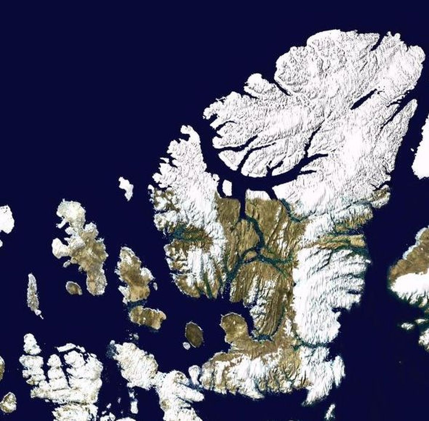 Arktiline Ellesmere´i saar oli kunagi soe «paradiis»