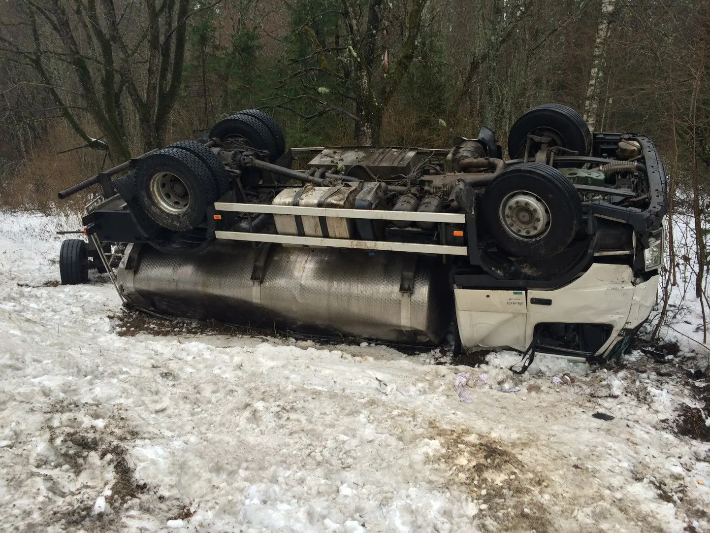Piimaauto sõitis kraavi