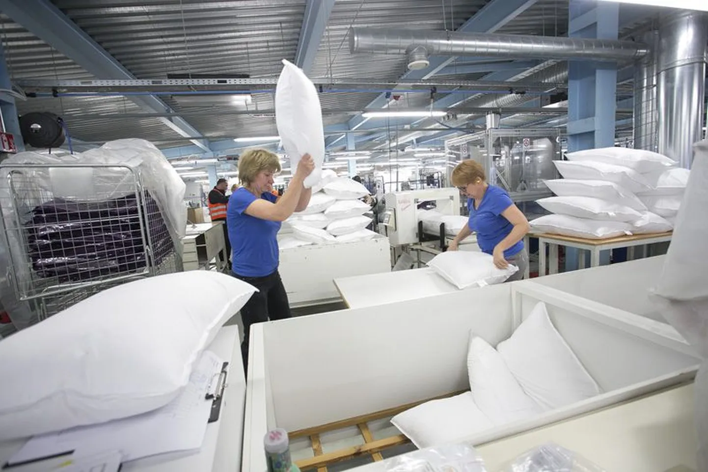 15 aastat Haljalas tegutsenud Baltic Fibres toodab hea une kraami, mis läheb valdavalt ekspordiks.