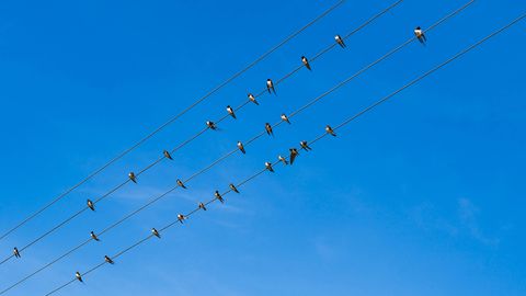 TORMAKE TARBIMA ⟩ Elektri börsihind kukub esmaspäeval kivina