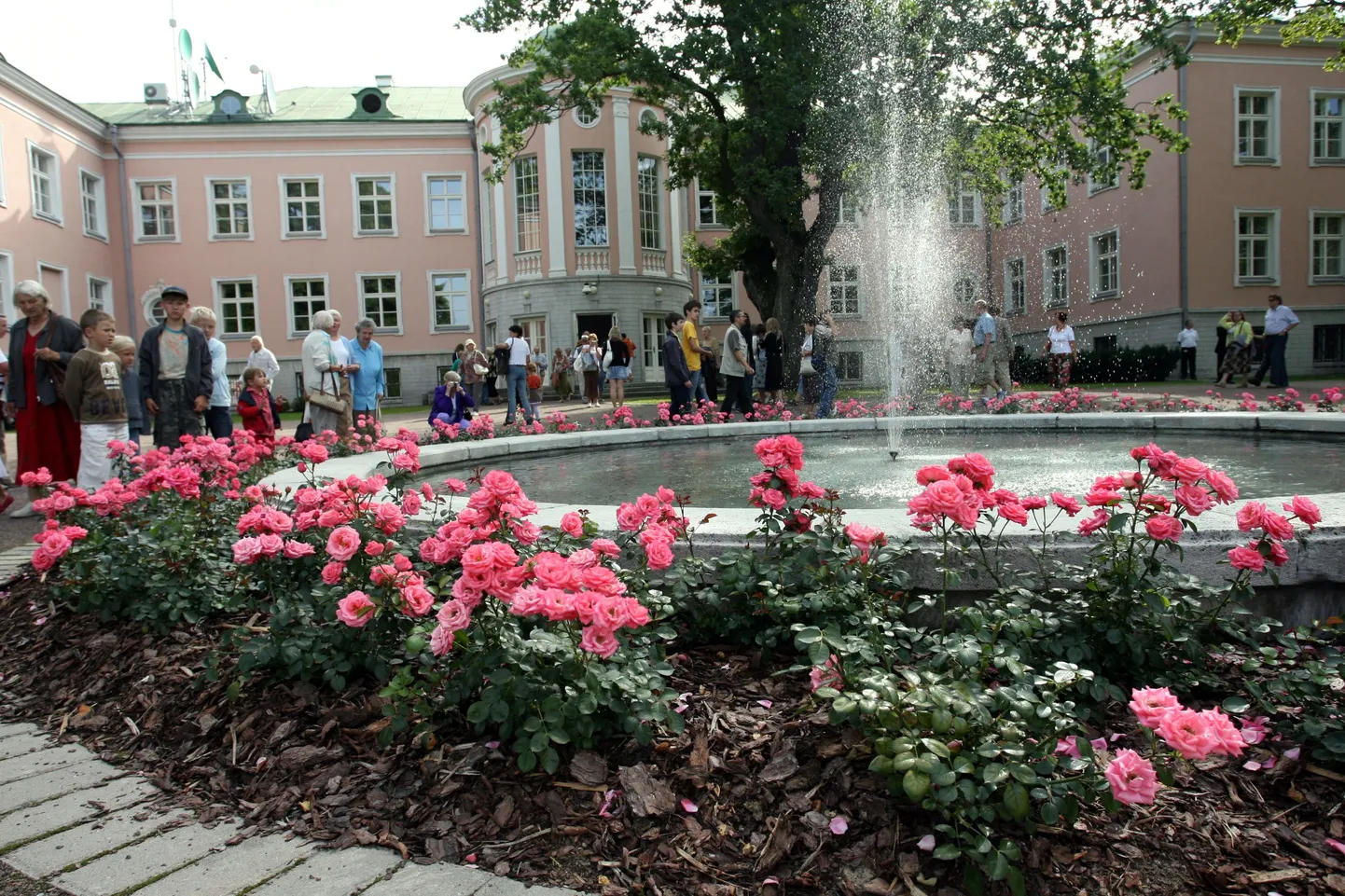 Planeeritav ala jääb maalilise Kadrioru pargi lähedusse.