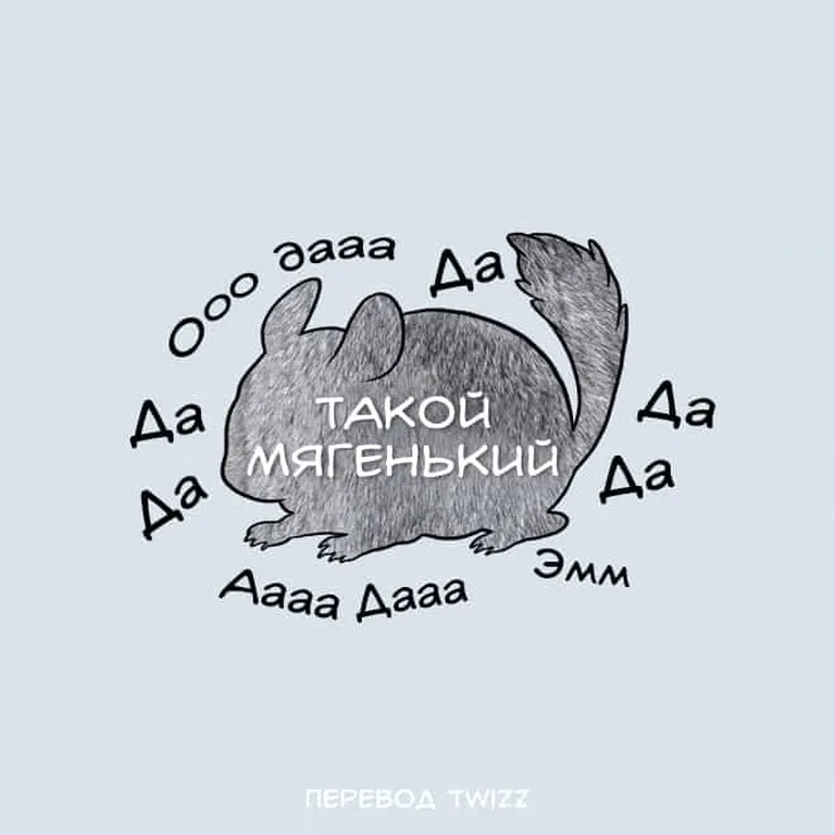 Фото статьи