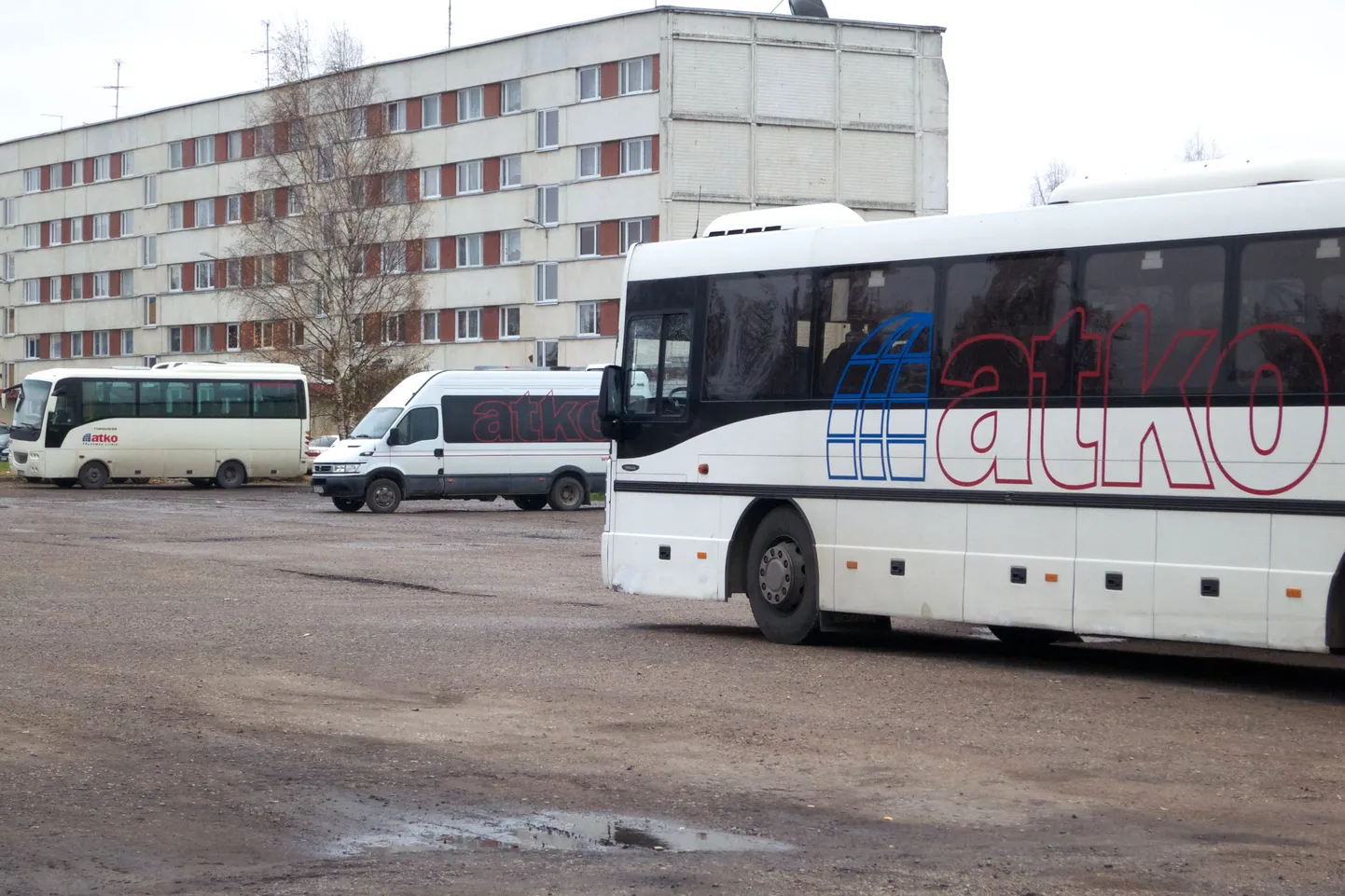Atko buss.