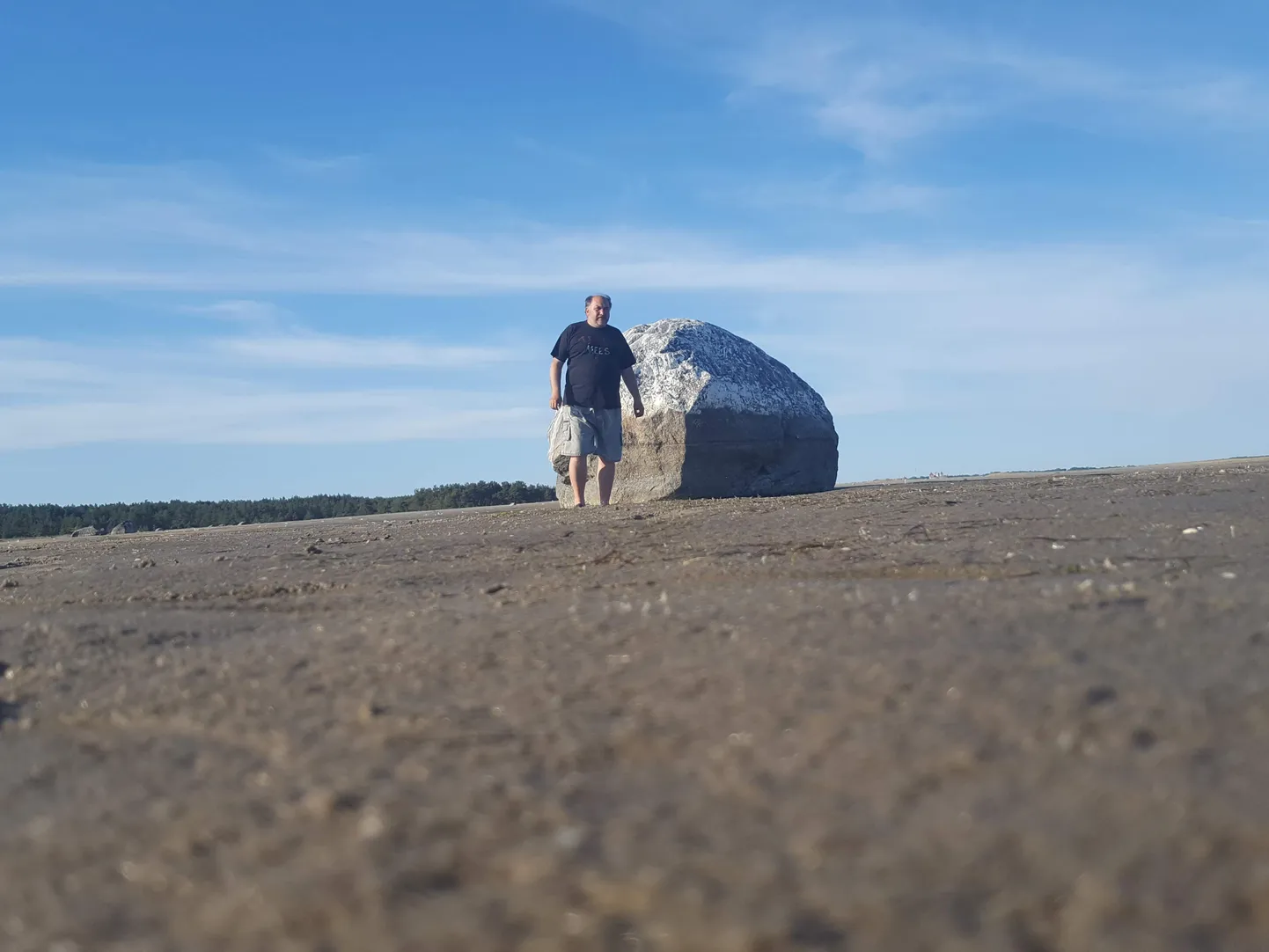 LOO AUTOR VALGE KIVI KÕRVAL.