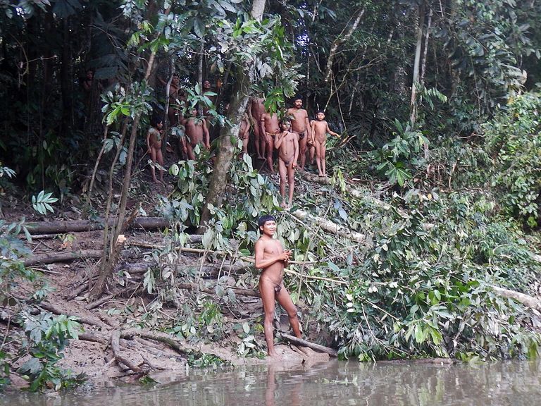 Amazonase põliselanikud, kes elavad Javari orus