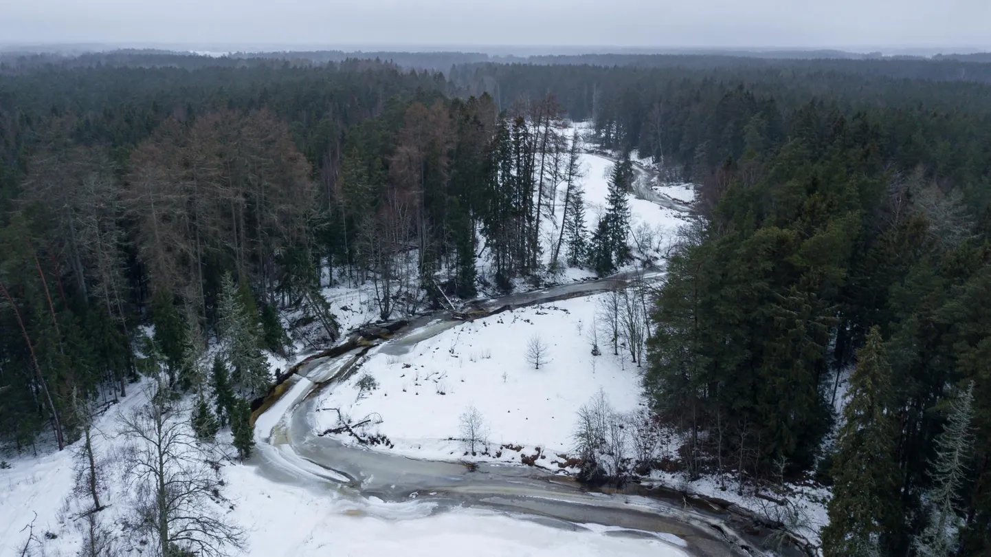 Kavandatav Sõrve looduskaitseala. Kaitseala loomist toetav Harku vald tellis mõne aasta eest terve rea elustiku-uuringuid. Kogu uuritud alal registreeriti kokku umbes 800 liiki, mille hulgas oli ligi sada kaitsealust või ohustatud liiki.