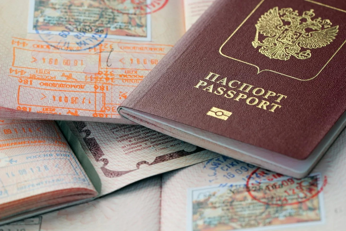 Vene turistide Euroopasse sisenemise keelule on väljendanud vastuseisu mitu Euroopa riiki, näiteks Saksamaa ja Kreeka.