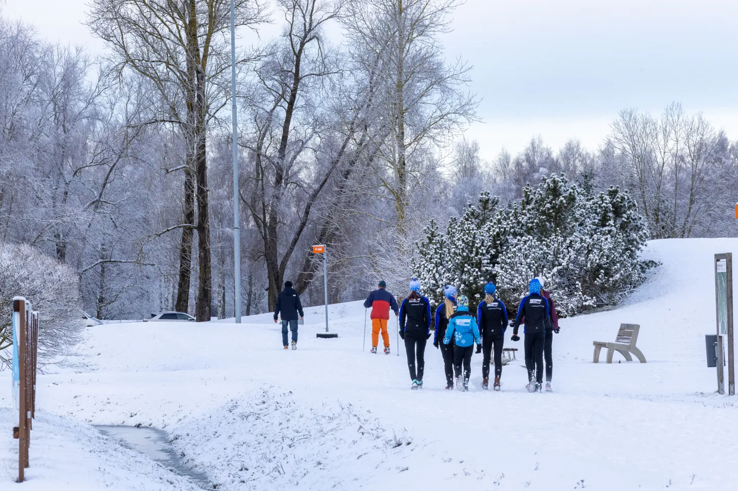 Tähtvere spordipark on juba lumine ja tervisesportlasi seal jagub, kuid mööda sissesõidetud jälgi suusatada veel ei saa.