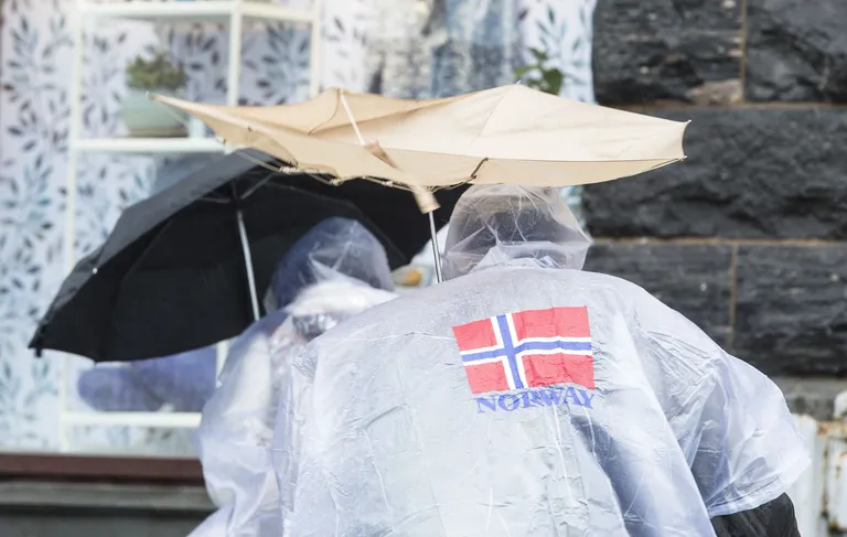 Vihm Norras Bergenis