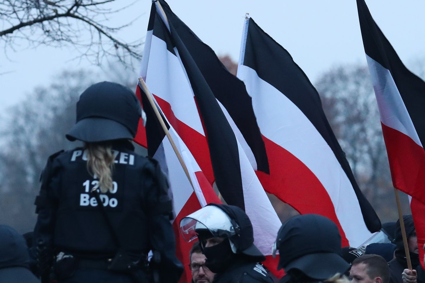 Uusnatside meeleavaldus Saksamaal. Foto on illustratiivne.