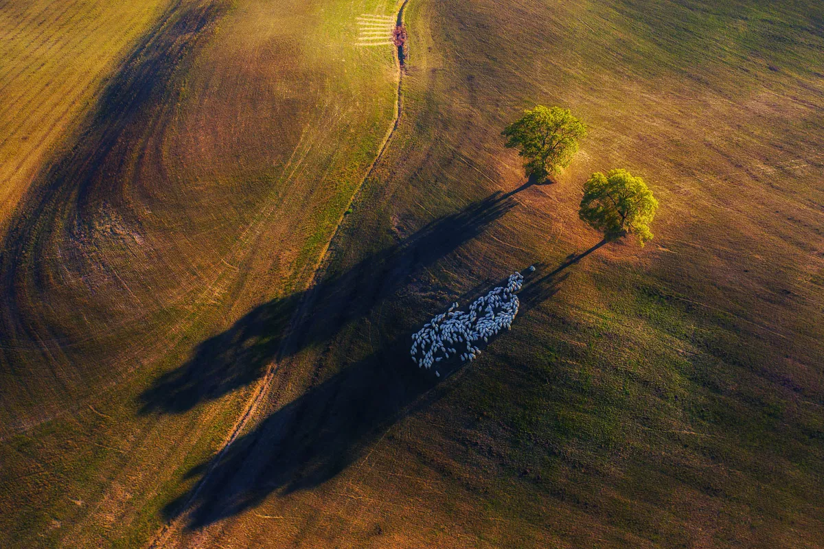 Фото статьи