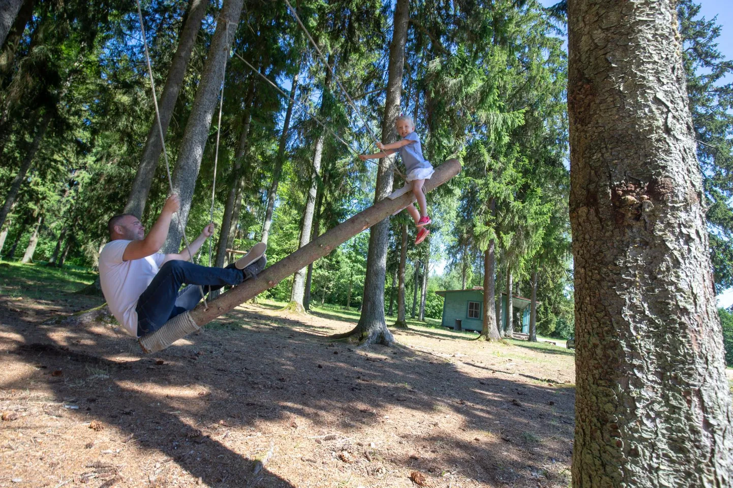Võrtsjärve-äärsele Ulge puhkealale kavandatakse tulevaks suveks omanäolist kiigeparki, millesarnast idee elluviija Anmar Pihlaku sõnul Eestis mujal ei leidu. Pildil Anmar Pihlak koos tütre Elinoriga.