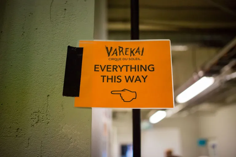 "Varekai: всё - там!"