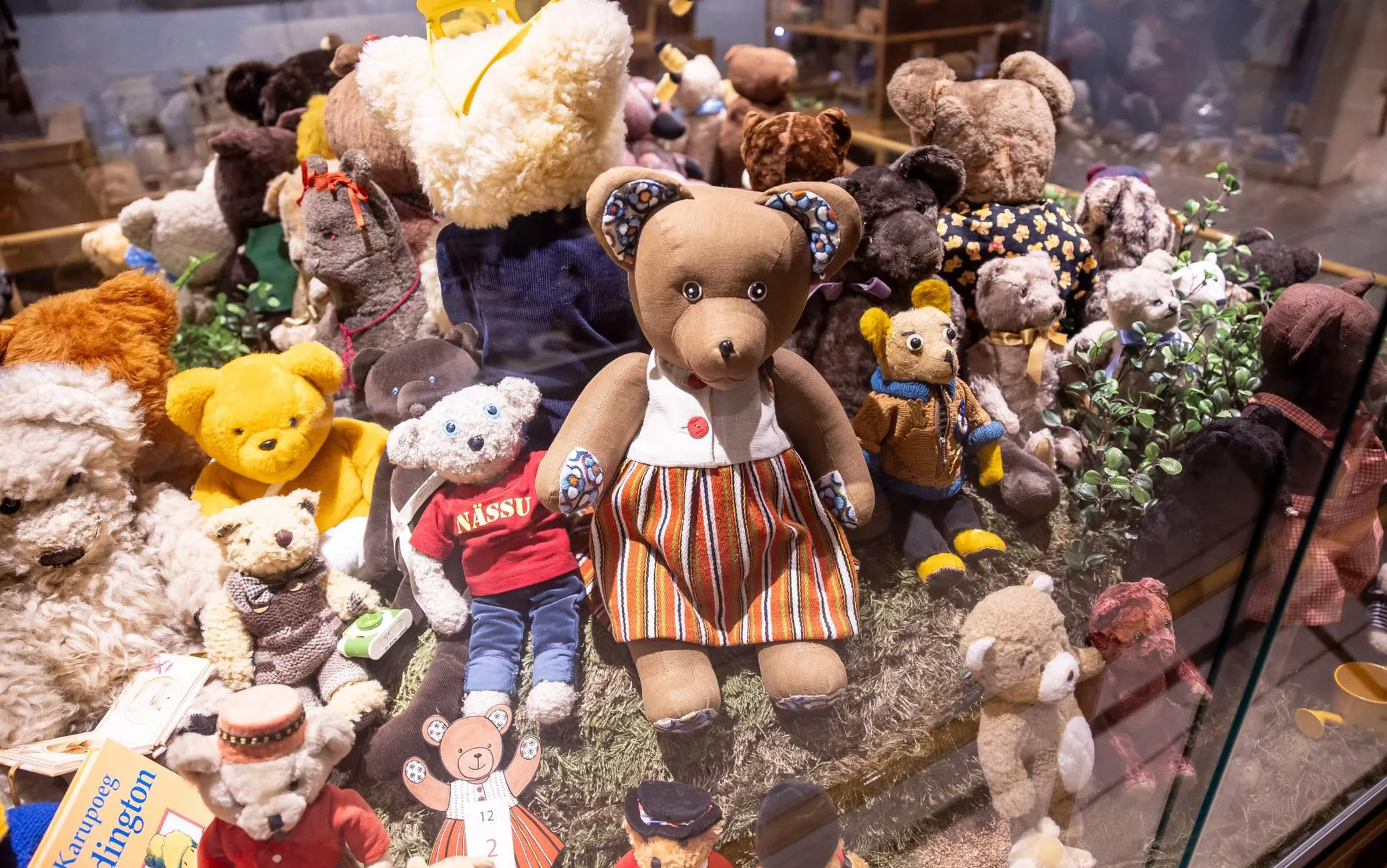 Triibulise seelikuga muuseumi maskott karu Lillekäpp koos teiste mõmmikutega vitriinis. 