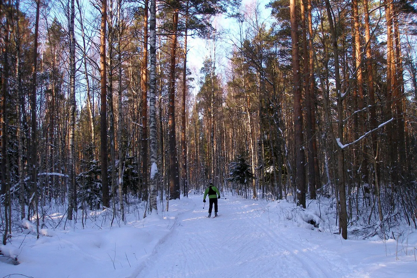 Suusatajad Raeküla metsas mõnusat talveilma nautimas.