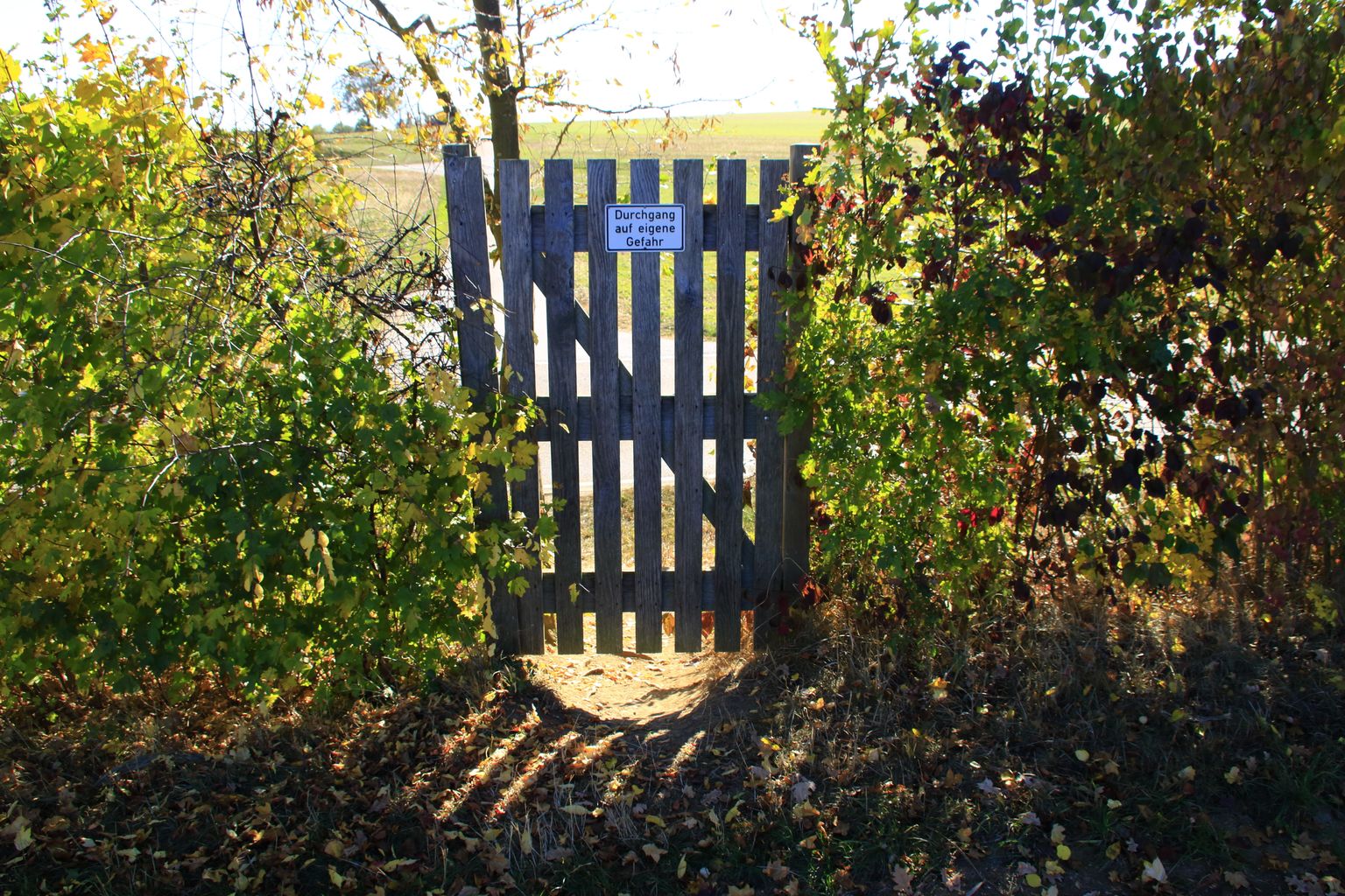 Wooden door in a hedge with the sign passage at your own risk
