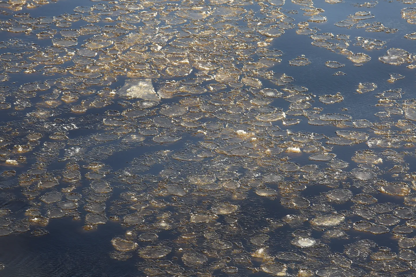 Фото статьи