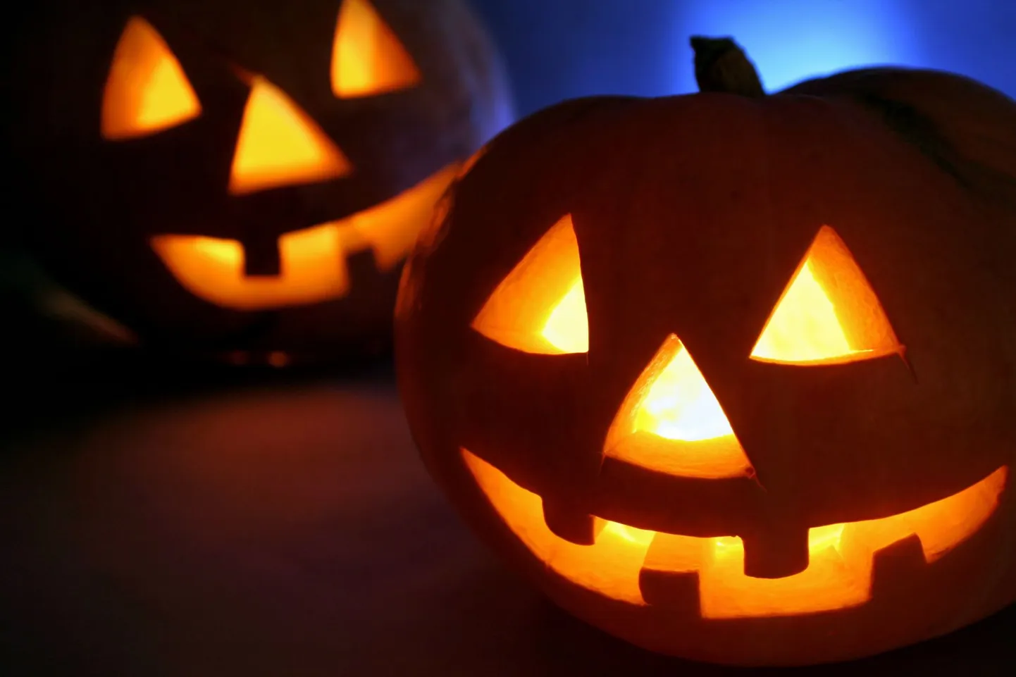 Kõrvitsaid kasutatakse halloweeni ajal küünlalaternate tegemiseks.