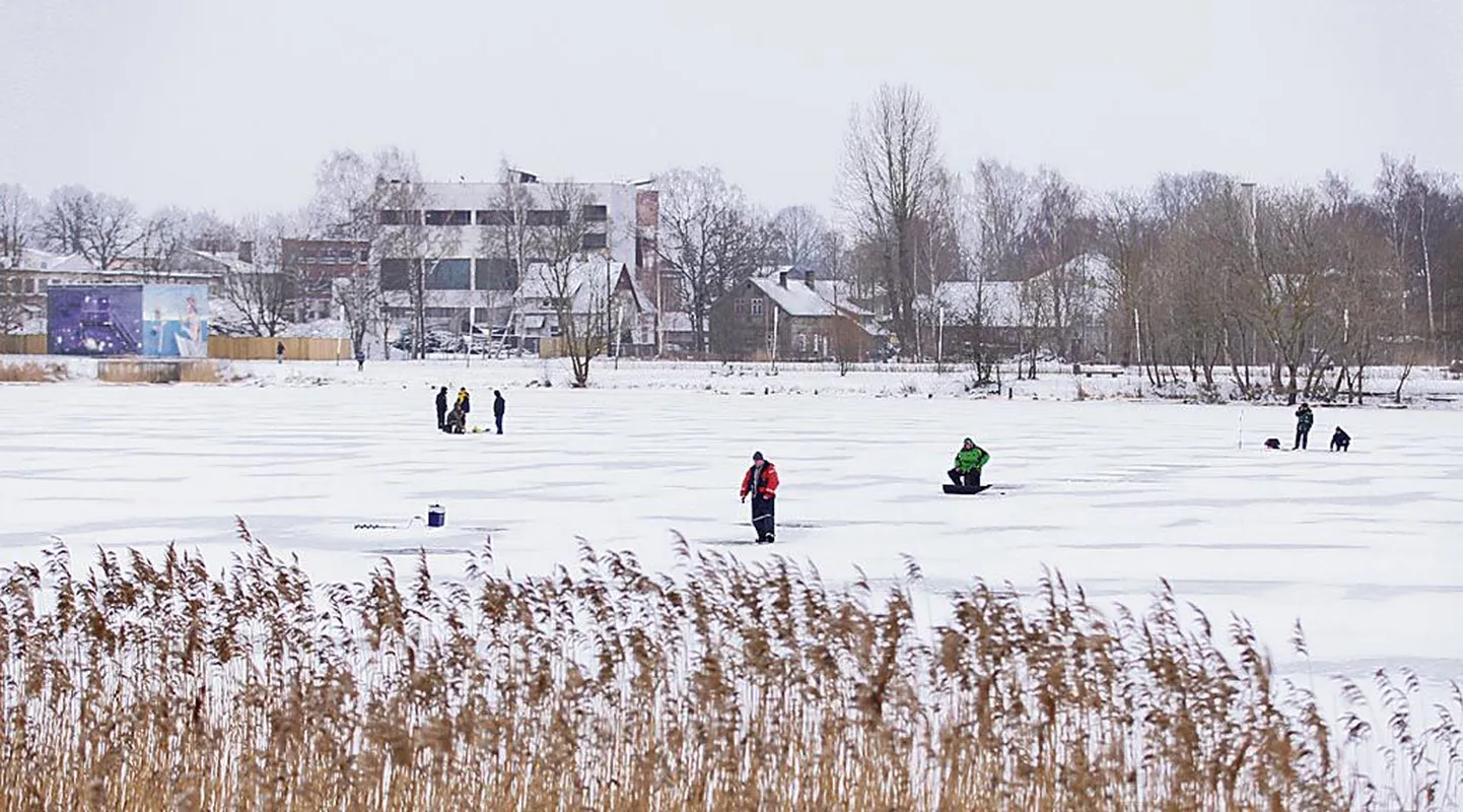Pärnu jõel endise masinatehase juures on kogu Eestis kuulus kalastuskoht.