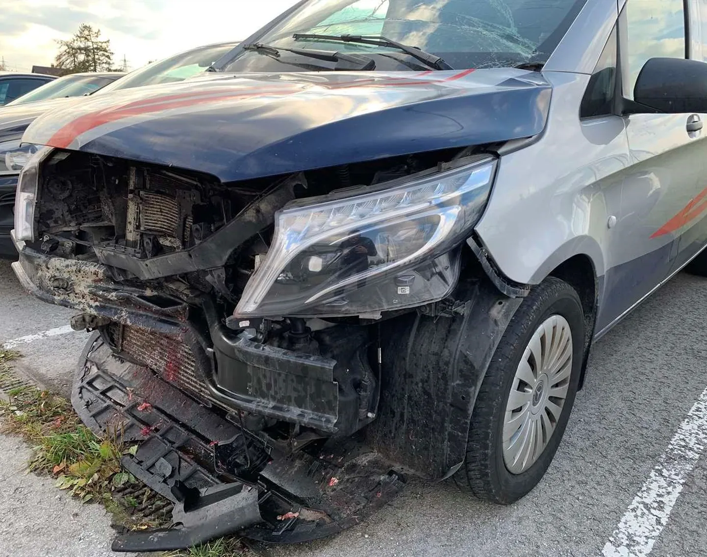 Selline näeb sõiduauto välja pärast kokkupõrget metskitsega.