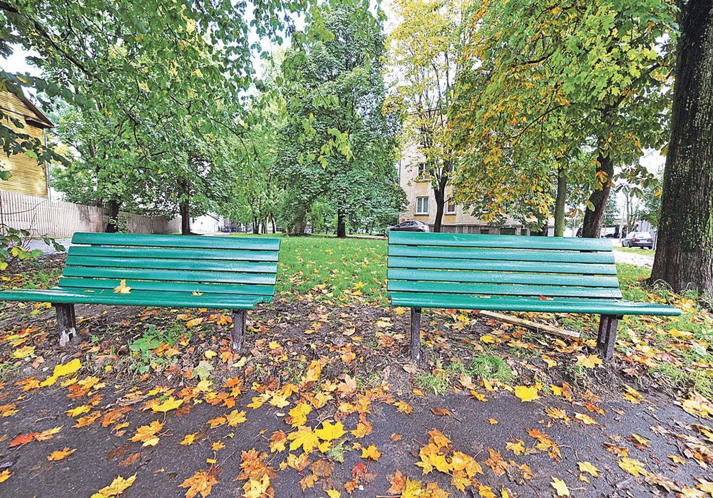 Осенью 2012 года на углу улиц Койду  и Планеэди управа  Кесклинна установила скамейки. В прошлую пятницу скамейки убрали.