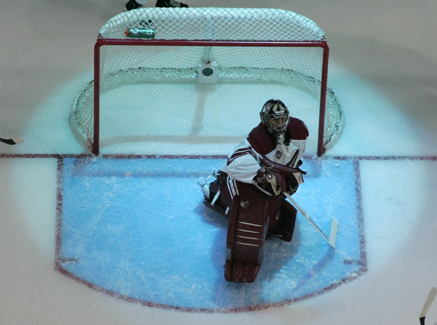 Phoenix Coyotese'i väravavaht Jason LaBarbera tähelepanu keskpunktis.