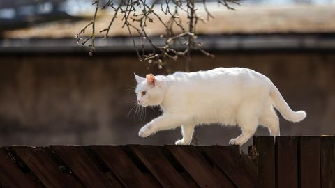 Sestdien gaiss iesils līdz +16 grādiem