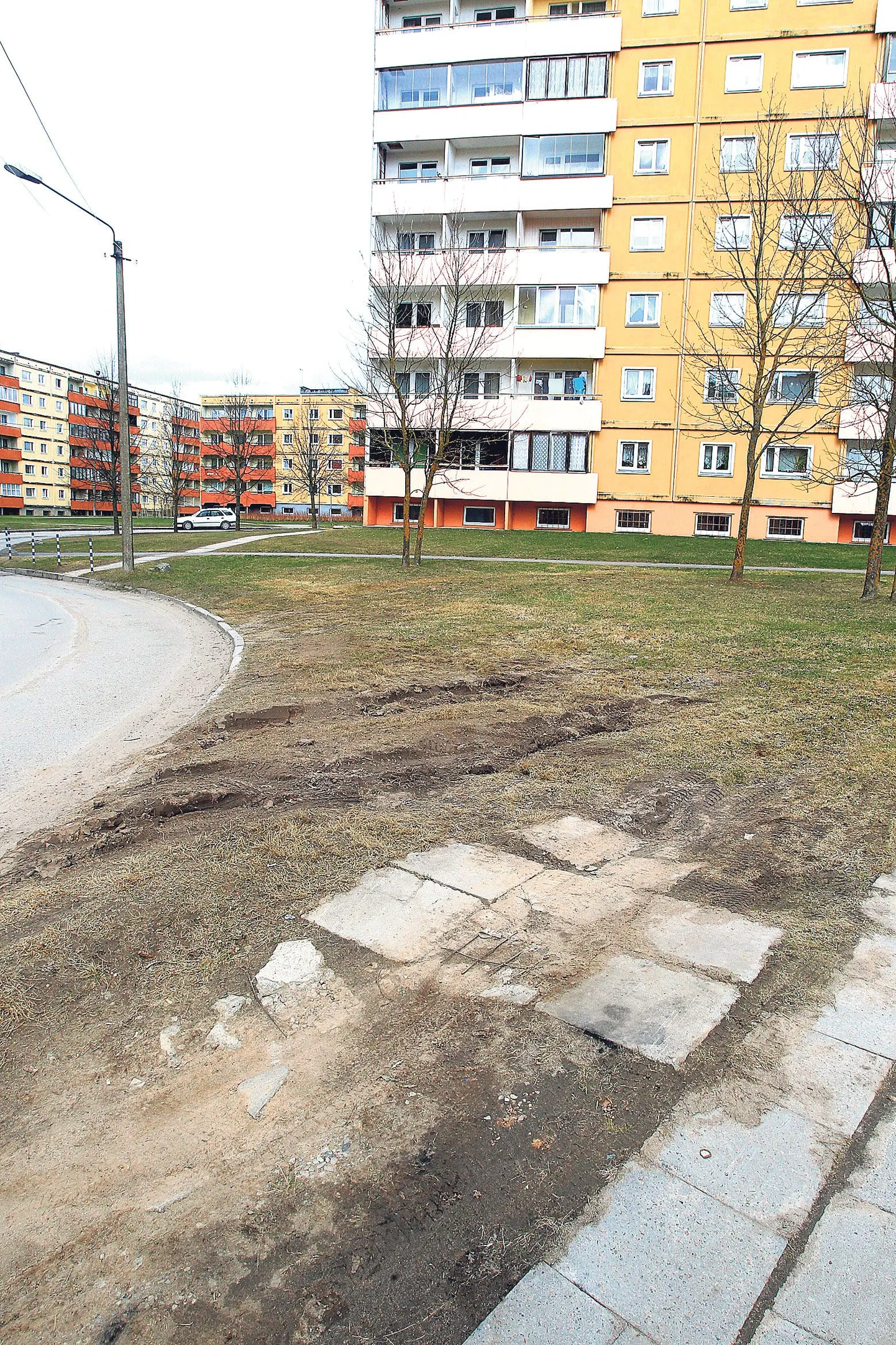 Nagu jälgedest näha, on Mõisavahe 42 ja 47 majade vahel tõepoolest autosid pargitud haljasalal. Parkimine selles kohas ei ole lubatud, kuid ka klaasikildude laiali loopimine on taunitav, sest killud võivad vigastada inimesi ja loomi.