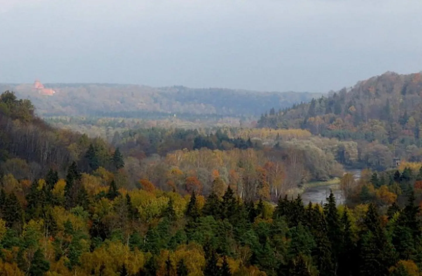 Raksta foto
