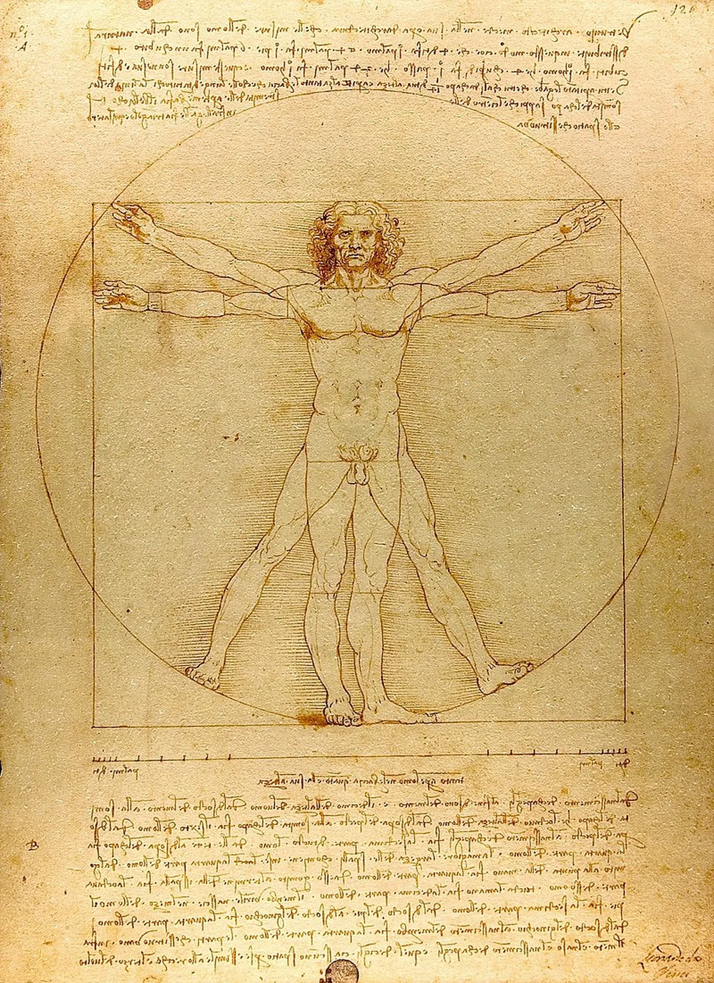 Leonardo da Vinči zīmējums "Vitrūvija Cilvēks".