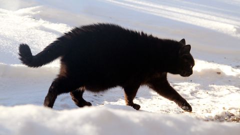 Otrdien vietām nedaudz snigs