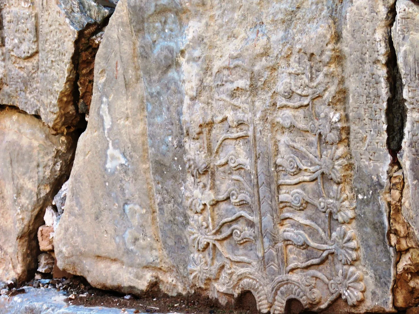 Detail iidsest matmispaigast