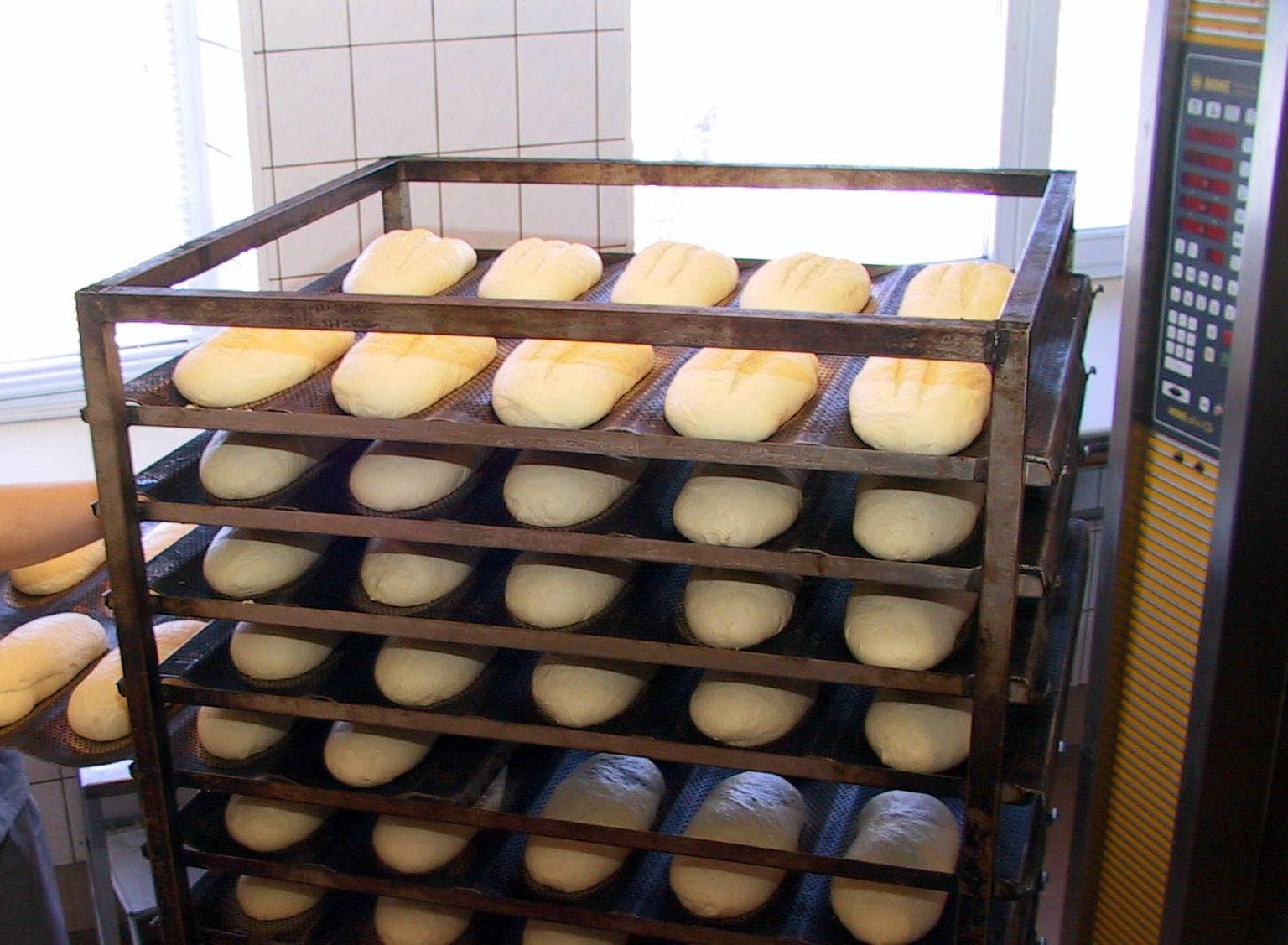 Rohkem ku veerand sajandit tegutsenud Orti pagaritööstuses on praegu saia ja leiva küpsetamine katkenud.
