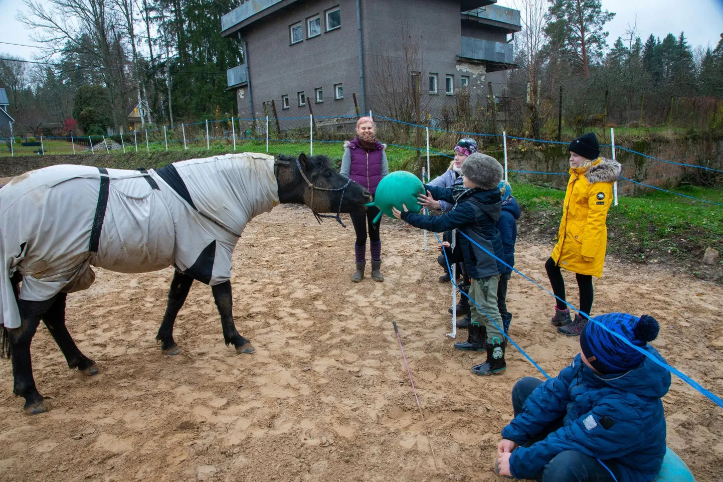Teisipäeviti on Peedu koolis loomade keele tund, kus õpitakse loomadega suhtlemist. «Loomad on võimelised meist aru saama ja valmis meiega koos tegutsema, kui me oskame neid mõista ning saame aru, et neil on tunded nagu inimestelgi,» lausus õpetaja Liina Luure (keskel).