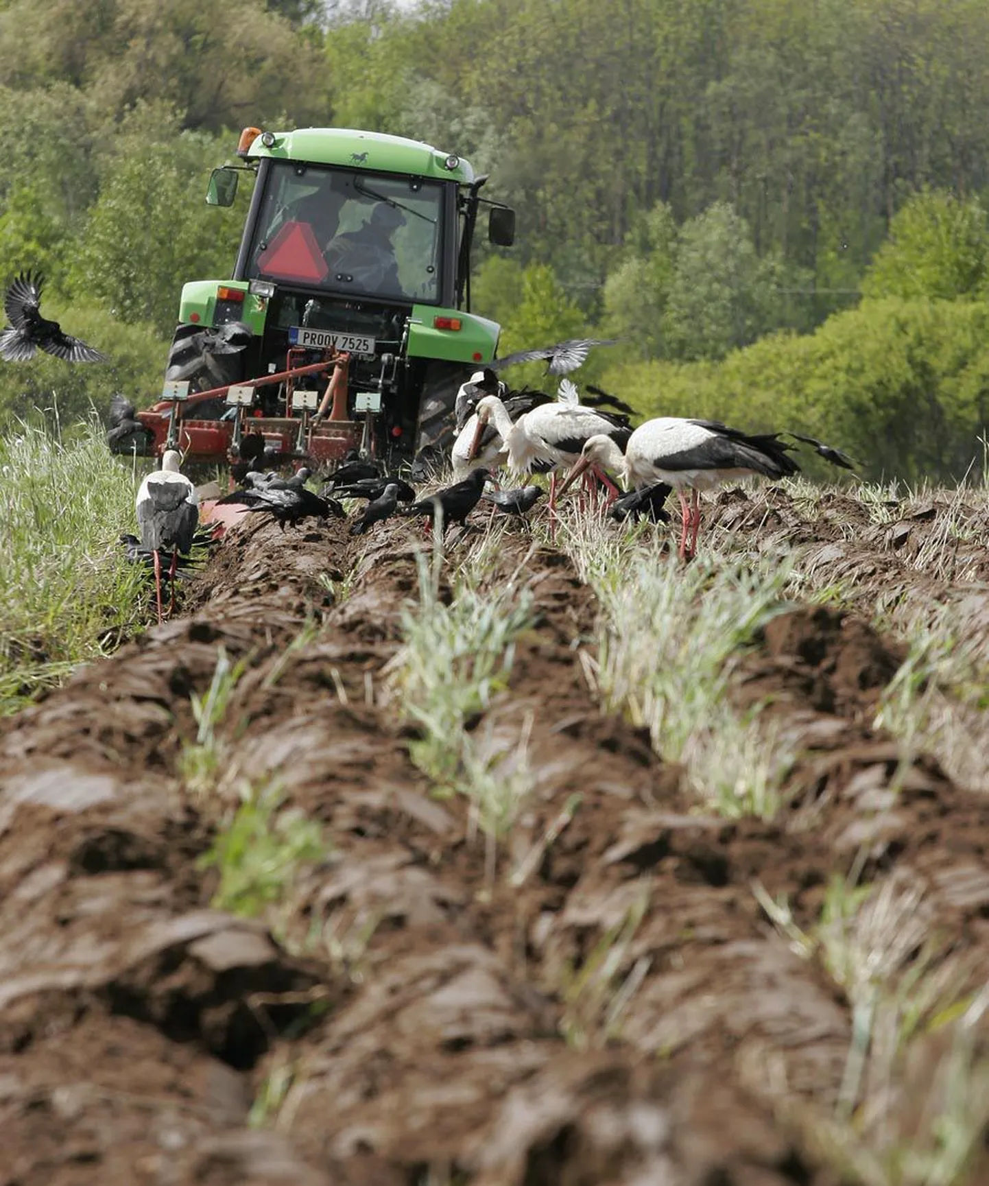 Eesti künnimeistrivõistlused leiavad sel aastal aset Kuremaal.
