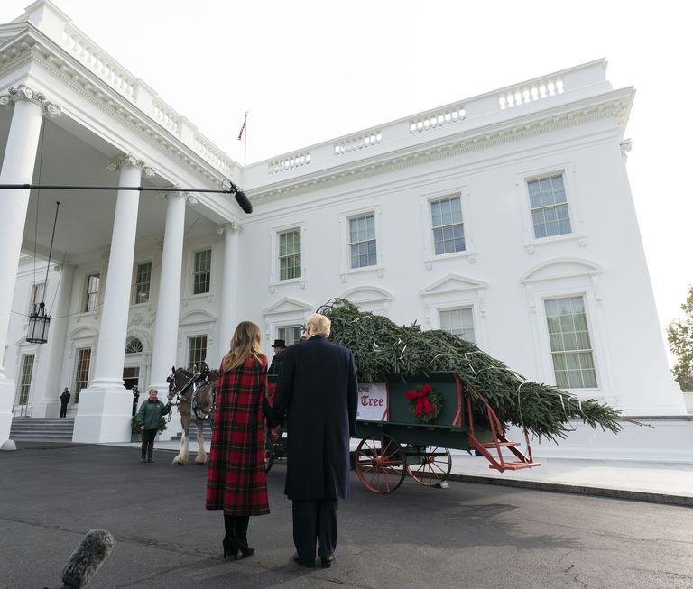 Valge Maja sai ametliku jõulukuuse ja -kaunistused. Pildil Donald ja Melania Trump koos kuusega