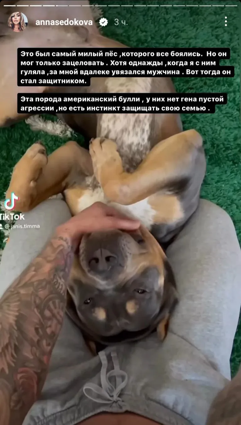 Фото статьи